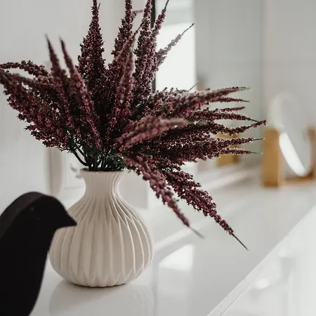 Iii Rhein Charme Gemütlichkeit, Style&geschichte Bei Katrin Und Familie Iii Apartment