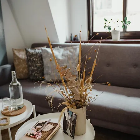 Iii Rhein Charme Gemuetlichkeit, Style & Geschichte Bei Katrin Und Familie Iii