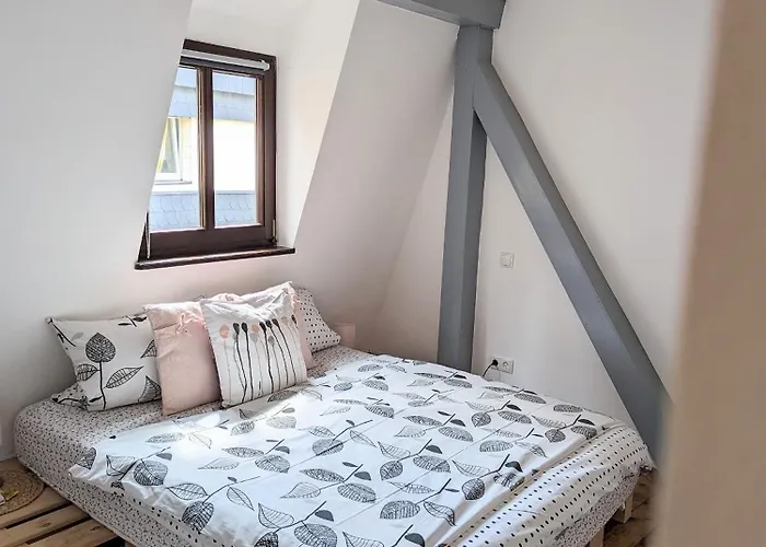 Iii Rhein Charme Gemuetlichkeit, Style & Geschichte Bei Katrin Und Familie Iii