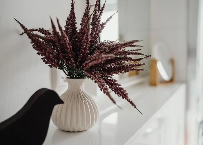 Iii Rhein Charme Gemuetlichkeit, Style & Geschichte Bei Katrin Und Familie Iii Appartement