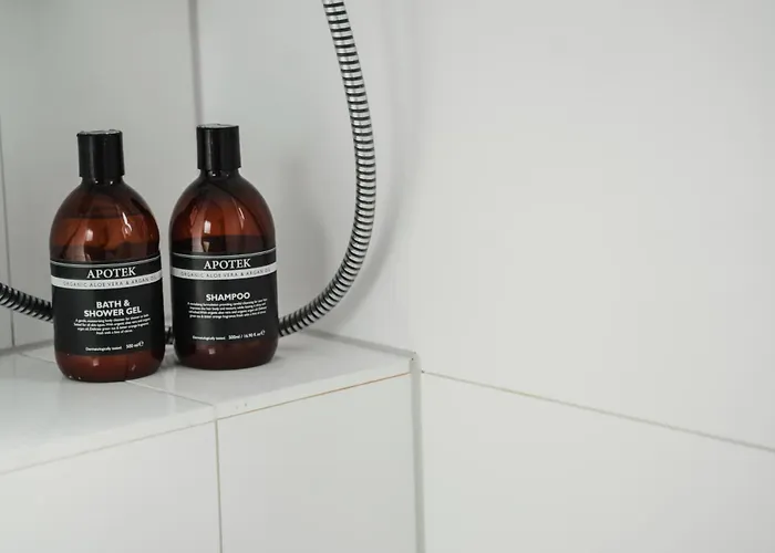 Iii Rhein Charme Gemuetlichkeit, Style & Geschichte Bei Katrin Und Familie Iii Appartement